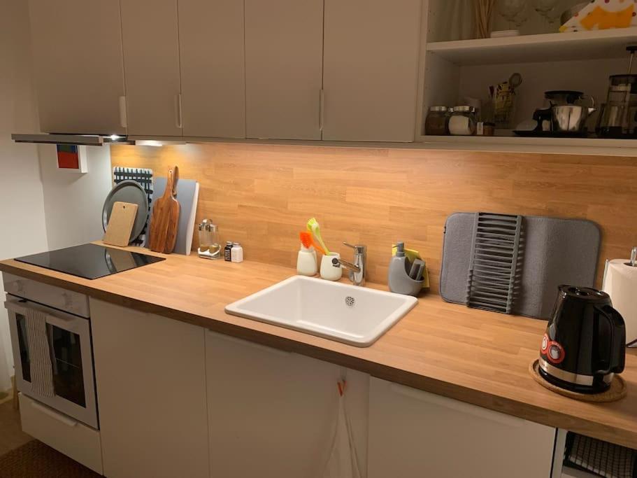 Apartment Near The Home Of Croatian Artists Zagreb Dış mekan fotoğraf